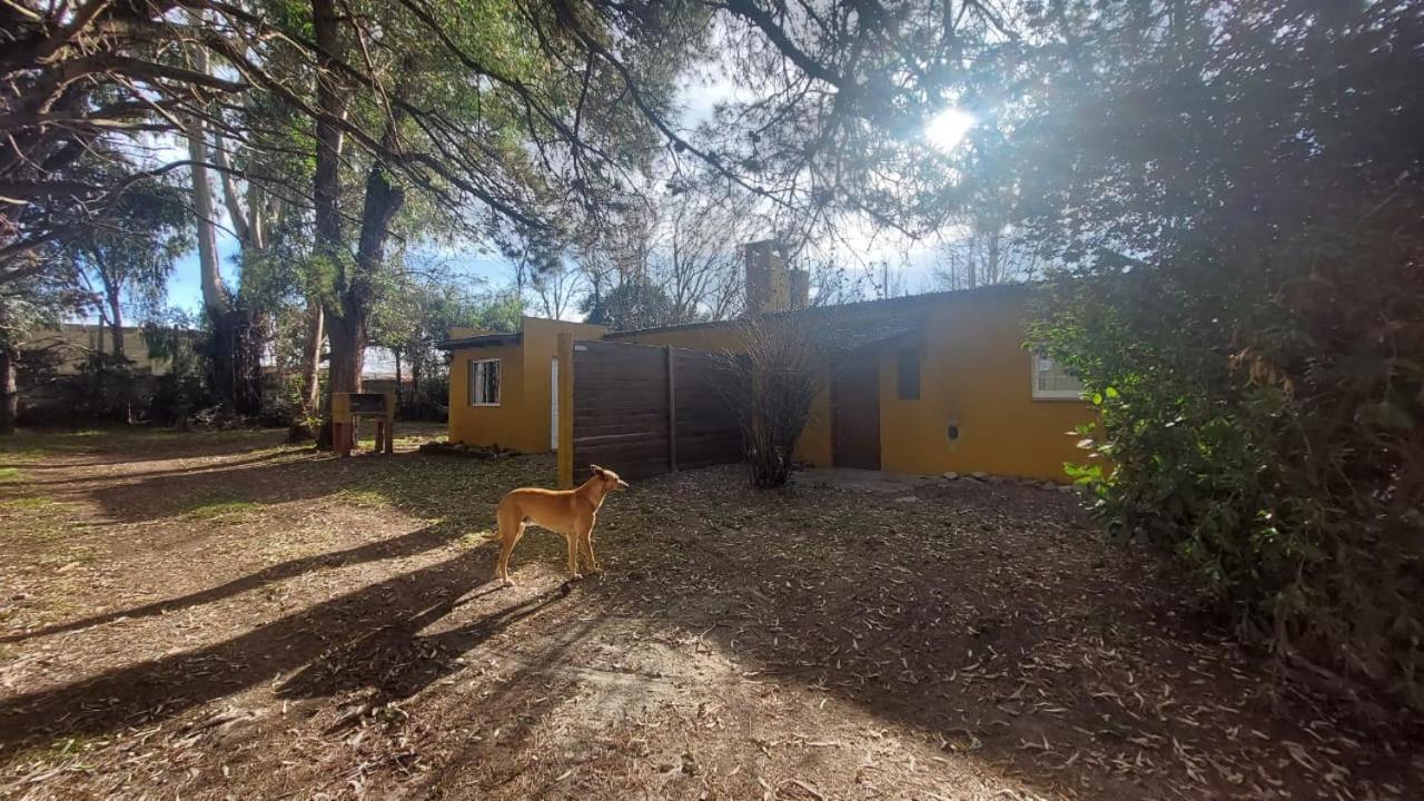 Maison d'hôtes La Nilda à Tandil Extérieur photo